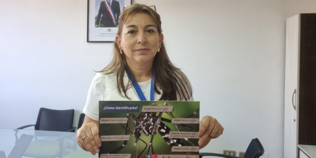 Región se une contra el zancudo aedes aegypti para evitar primer caso local de dengue