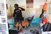 Allanamiento en recinto penal permitió incautar armas hechizas y sustancias ilícitas