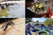 Seremi de Salud y Municipalidad unidos en operativo contra el zancudo Aedes aegypti