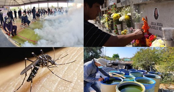 Seremi de Salud y Municipalidad unidos en operativo contra el zancudo Aedes aegypti
